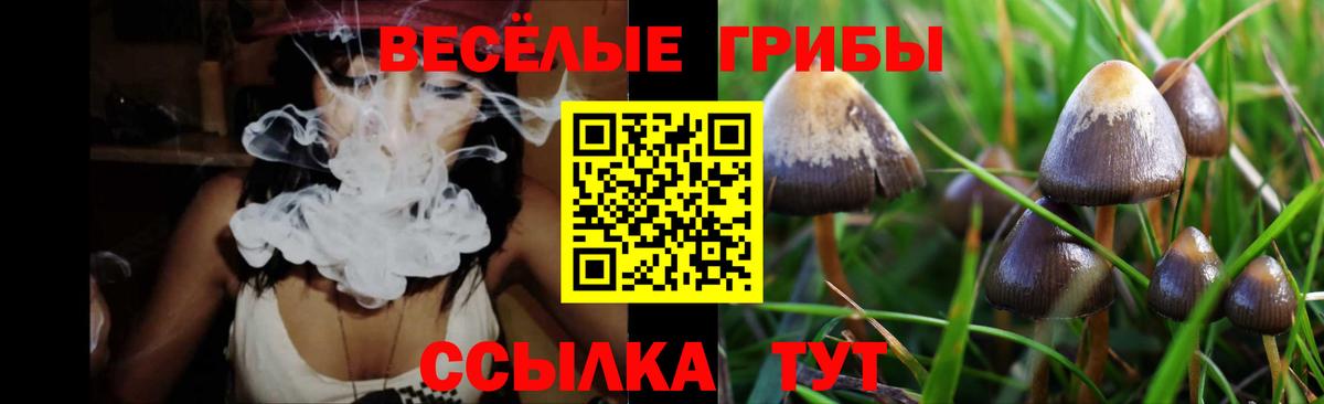 Псилоцибиновые грибы MAGIC MUSHROOMS  Галлюциногенные грибы Psilocybe  Вход с VPN  Сафоново 